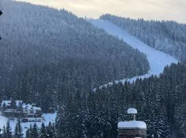 Brand New Family Apartment in Harrachov Center with Garage & Mountain View