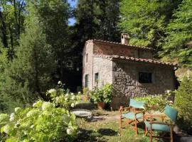 Il Gallinaio, Vivo D'Orcia