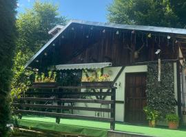 Chalet Traian & Ruxandra, Hotel in Sinaia