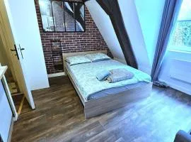 Studio 20 minutes walk from Montluon train station