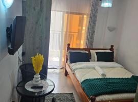 Affordable Studio in Syokimau Near JKIA & SGR, хотел, който приема домашни любимци, в Найроби