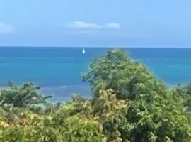 Maison das Artes morere