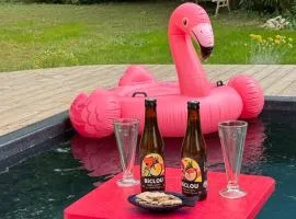 Bright studio with garden & pool in Vaison