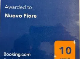 Nuovo Fiore