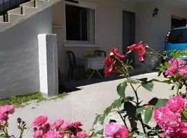 Le Cyclamens - Rodez-Onet