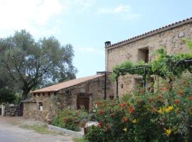 Pietra-monetta, hotel Palascában