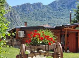 Ramonda Serbica- Peaceful Retreat in Sicevo Gorge