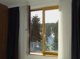 Woodside Kopaonik 212