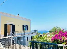 Villa Nolelu