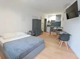 Apt 1, studio RDC de 25m2, climatisé dans un immeuble au charme historique