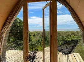 Kottehusen på Söder