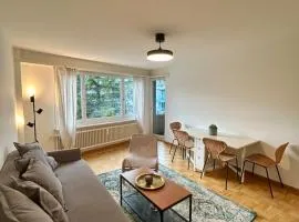 Cozy Apartment on Brahmstrasse in Zürich