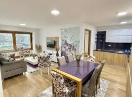 VIP Superior Apartments