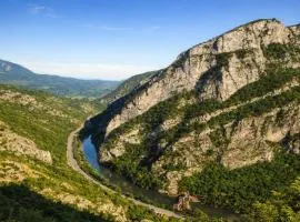 Ramonda Serbica- Peaceful Retreat in Sicevo Gorge
