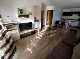 Apartments Tome, bed & breakfast i Ljubljana