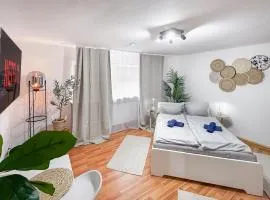 Urban Cozy Apartment - Kaiserslautern