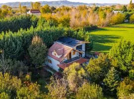 Ferma Gold by PikHost