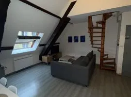 Sublime appartement lumineux au cœur de Belfort