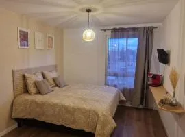 Le Cosy 209 des Logis de Paray Studio Downtown