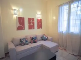 APPARTEMENT Center city 11 janvier