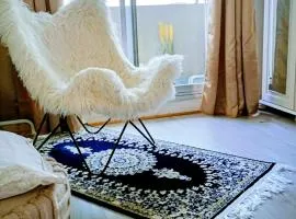 Appartement Paris vue imprenable