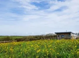 1 Bed in Morwenstow 88499