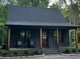 Modern 2BR Cabin w Hot Tub Near Carbondale, hotel em Carbondale