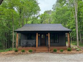 Romantic 1BR Cabin w Hot Tub Near Carbondale, hotel in Carbondale