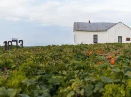 Historic Farm Cottage on 800-Acre Orchard