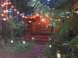 Fancy Fireflies Cabin: Hayward şehrinde bir dağ evi