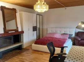 Large room, shared kitchen and bath, near station