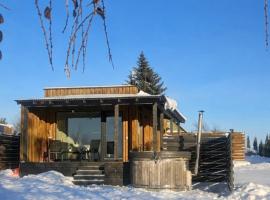 Viesnīca Volunge house pilsētā Doškonys