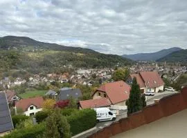Panoramic view of Munster - forest terrace