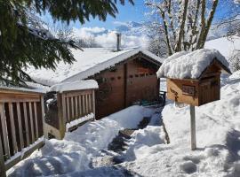 Chalet cosy vue montagnes Manigod, Hotel in Manigod