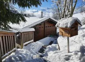 Chalet cosy vue montagnes Manigod