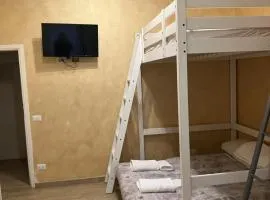 Ciclamini casa