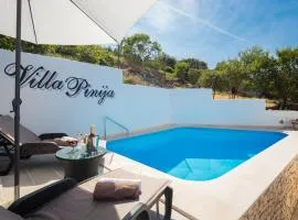 Villa Pinija with pool, terraces and garden