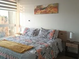 Céntrico departamento 7