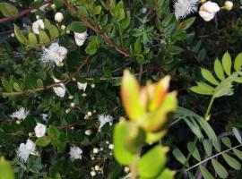 Cabaña Dulce Hogar, хотел в Padre Las Casas