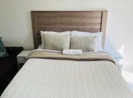 Elegant Bachelor Apartment in Hazel Park