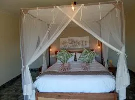 Chalets along Zambezi River - Enjoy Game & Canoeing Safaris as well as Boat Cruises & Fishing - Starlink Internet & Backup available