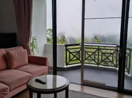 A3-6-1Silverpark LuxMountsin view Lifted unit