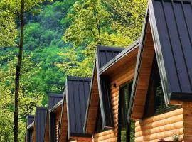 Villa's Gio Shala River