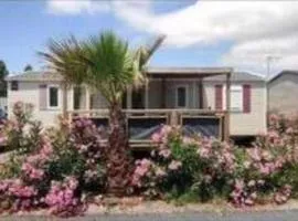 Mobil home Oasis Les Palmiers