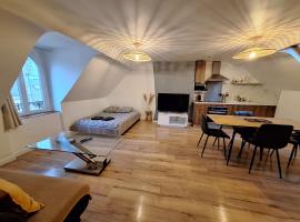 Faubourg des voyageurs 7 - T2 climatisé 4 personnes - proche axe autoroute et gare, hotel in Saran