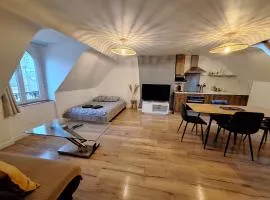 Faubourg des voyageurs 7 - T2 climatisé 4 personnes - proche axe autoroute et gare