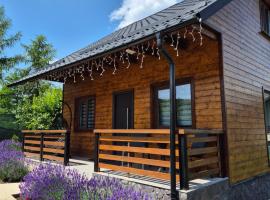 Casuta Sofiei, vila u gradu 'V&icirc;rfu Dealului'