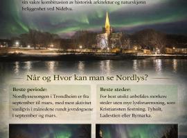 Viesnīca Stor attraktiv studioleilighet i sentrum Tronheimā