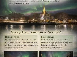 Stor attraktiv studioleilighet i sentrum