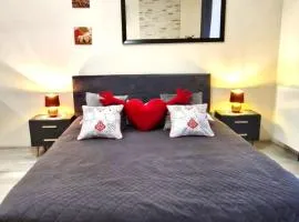 Cracow NOVUM Apartment Downtown 4 persons